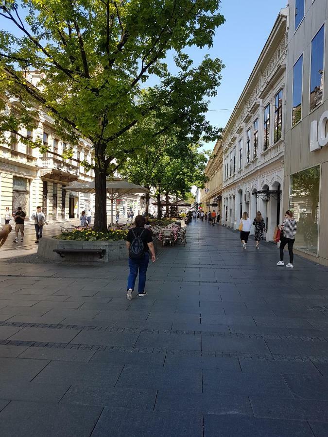 Jolie Lägenhet Belgrad Exteriör bild